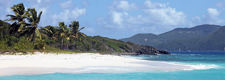 Tours: Sandy Cay / Sandy Spit - True Blue Power Boats